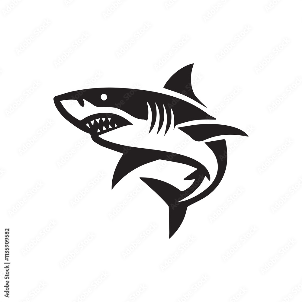 shark illustration shark illustration