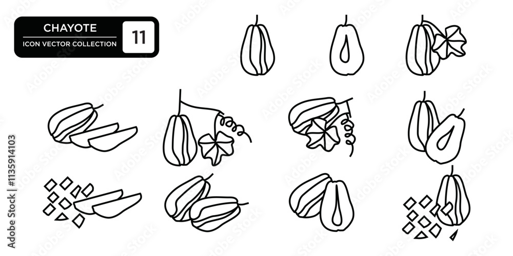 Chayote icon collection, editable and resizable vector icon templates. Chayote icon collection, editable and resizable vector icon templates.
