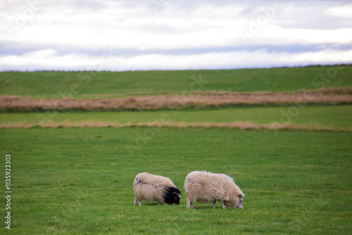 Iceland in Northern Europe is about to enter winter