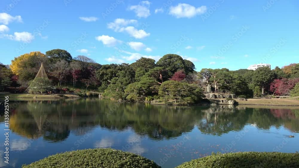 日本の庭園 日本の庭園