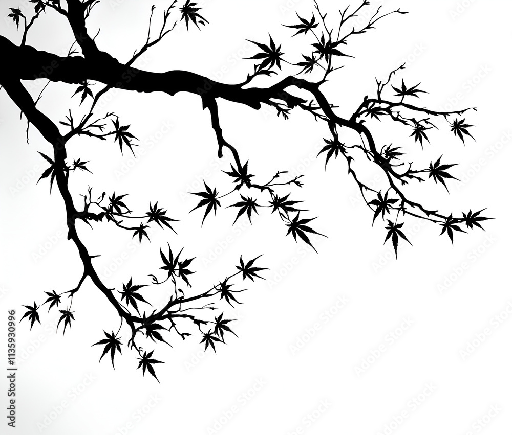 Obraz premium maple tree branch silhouette, vector illustration, white background