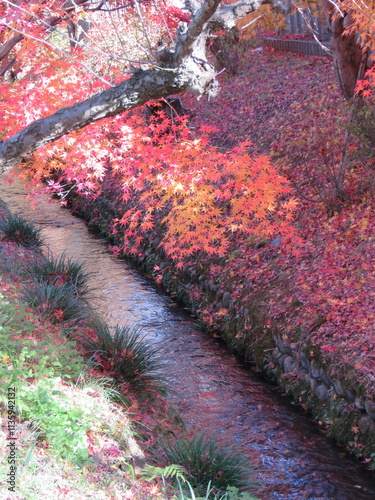 Stream Scene-11