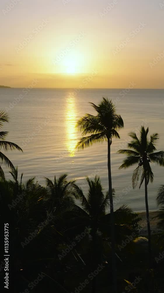 Drone view of tropical beach with sunset background. Santa Fe, Tablas, Romblon. Philippines. Vertical view.
