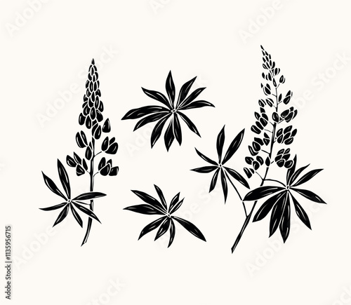 Flat vector lupin flower branches collection