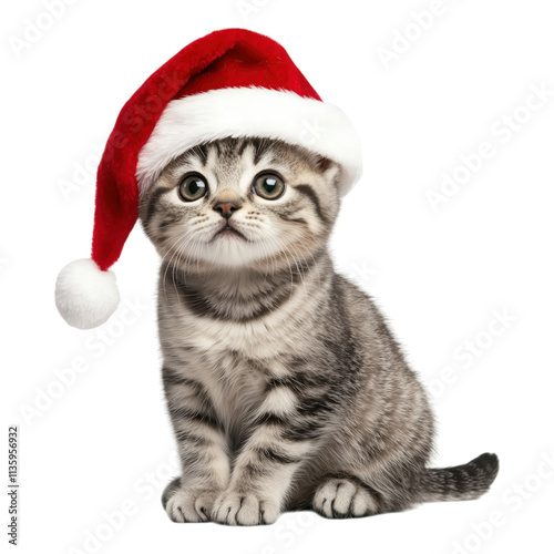Adorable silver tabby kitten wearing a red Santa hat on a transparent background, capturing the festive spirit of Christmas