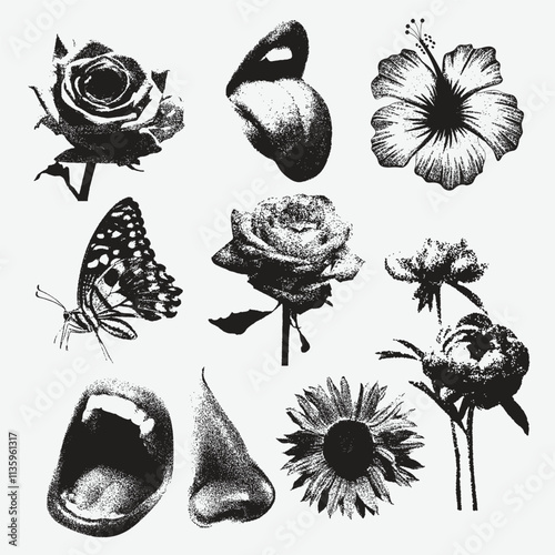 flowers, mouth, butterflay,  halftone stipple effect  with retro photocopy stipple effect photo