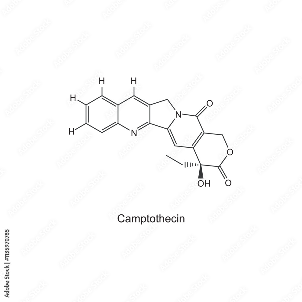 Camptothecin skeletal structure diagram.Plant alkaloid compound molecule scientific illustration. Camptothecin skeletal structure diagram.Plant alkaloid compound molecule scientific illustration.