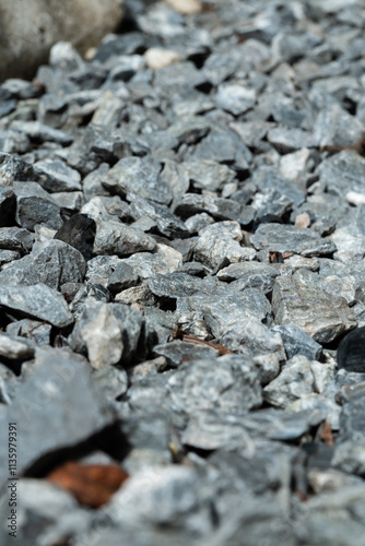 Tracks in rock and Sand on Rough Natural Surface photo