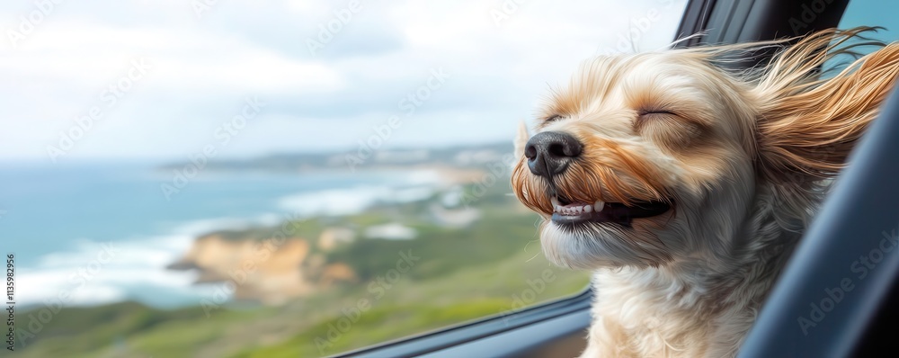 Close-up of dog s face in the wind, head out of car window, ocean coast landscape in the background, joyful and carefree, Dog Head Out Car Window