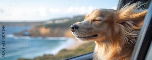 Close-up of dog s face in the wind, head out of car window, ocean coast landscape in the background, joyful and carefree, Dog Head Out Car Window