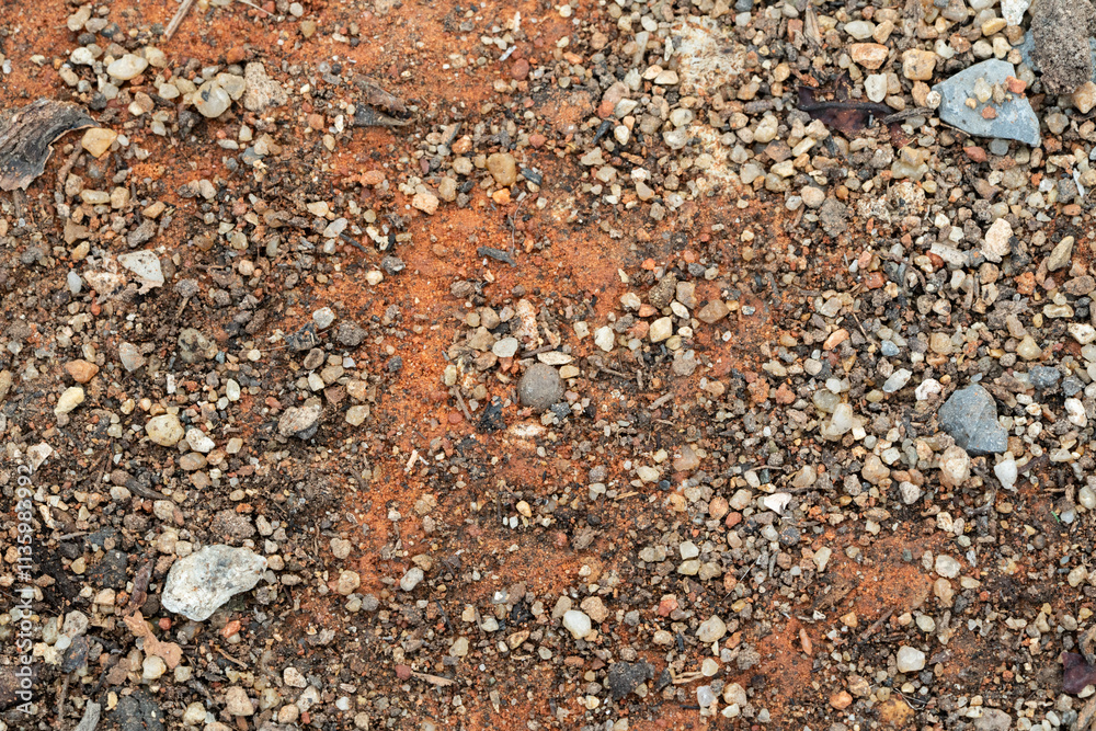 Close-up of textured stone and shells on a sandy beach Close-up of textured stone and shells on a sandy beach