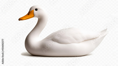 Serene White Swan: Elegant waterfowl, pure white plumage, graceful posture, detailed rendering.   photo