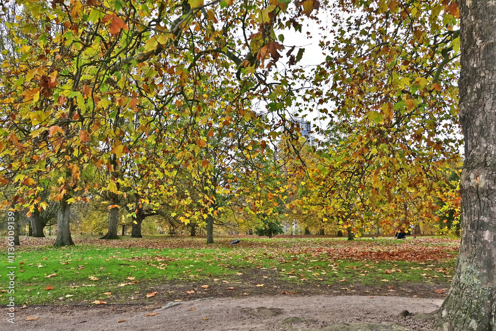 Naklejka premium Londra, Autunno e foliage ad Hide Park - Regno Unito