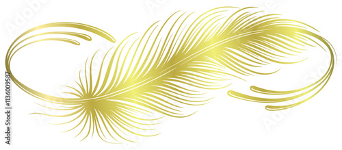 Golden feather with infinity symbol vector eps
