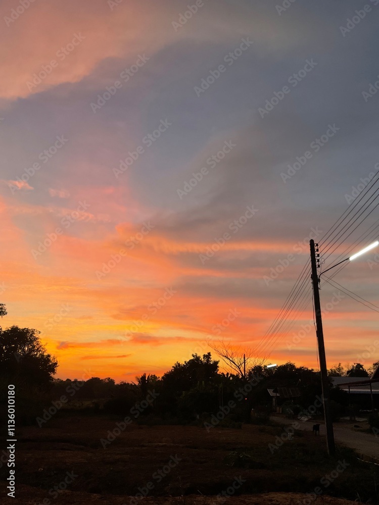 Obraz premium lines at sunset