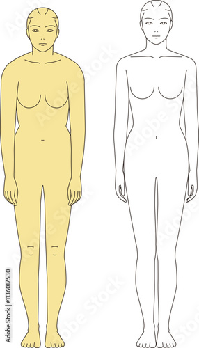 猫背の女性ときれいな立ち姿の女性.　正面の全身のイラスト