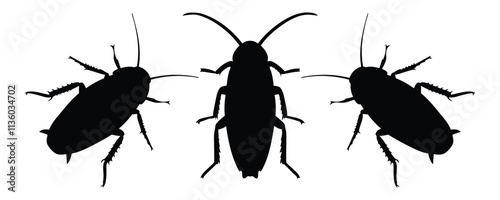 Cockroach vector silhouette illustration