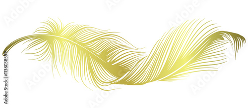 Golden feather Vector illustration
