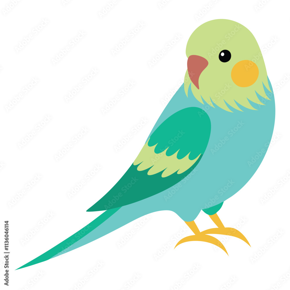 Fototapeta premium budgerigar vector illustration 