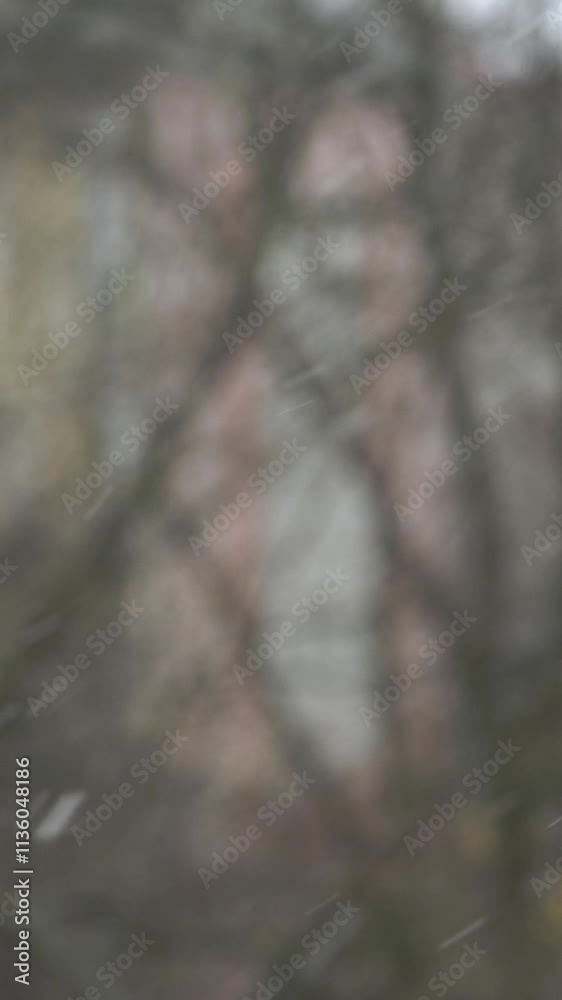 Snowfall creates a serene winter atmosphere in a wooded area. Vertical. Vertical video background. 
