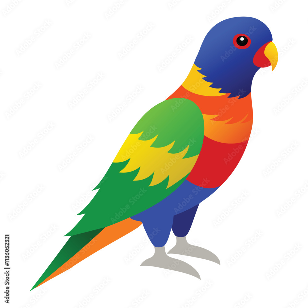 rainbow lorikeet vector illustration rainbow lorikeet vector illustration
