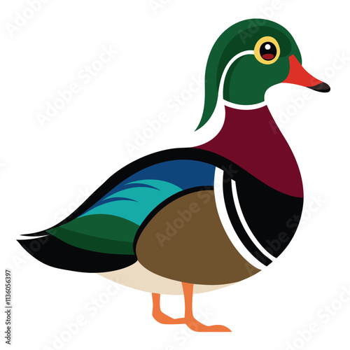 wood duck vector illustration 