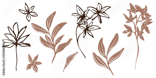 Minimalistic vector botanical illustration. hand drawn flowers and leaves in mocha and brawn outlines. bouquet, line art and silhouettes, emphasizing natural, organic beauty in a modern style