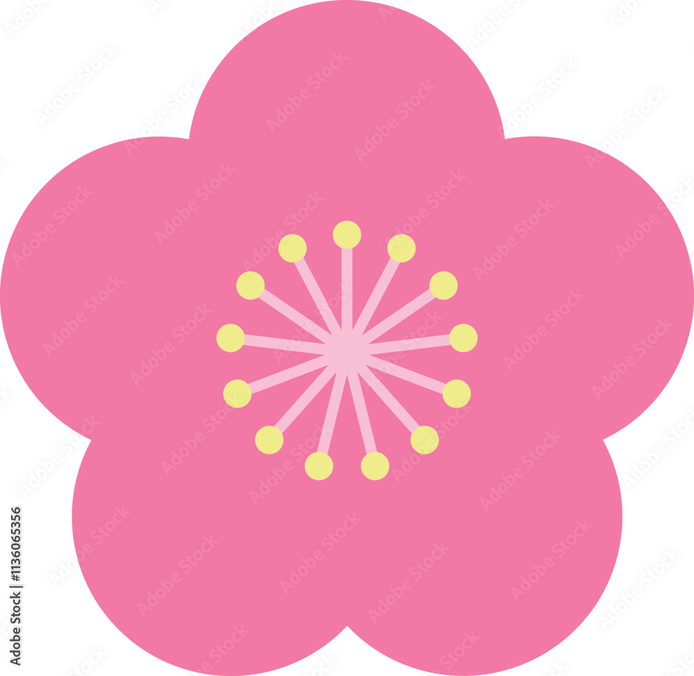 梅の花で花びらはピンク、花糸は薄ピンク、雄しべは黄色 梅の花で花びらはピンク、花糸は薄ピンク、雄しべは黄色