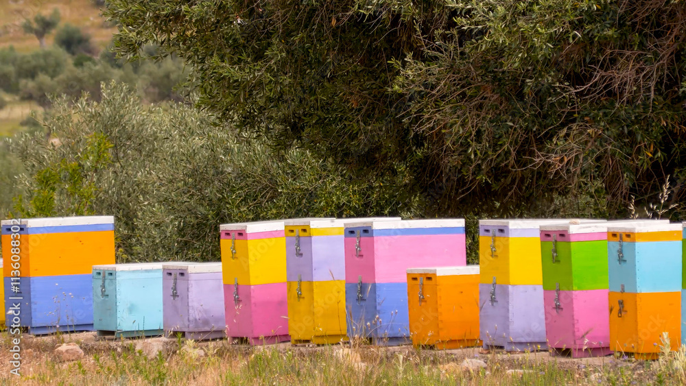 Row of colorful beehives in Greece. Row of colorful beehives in Greece.