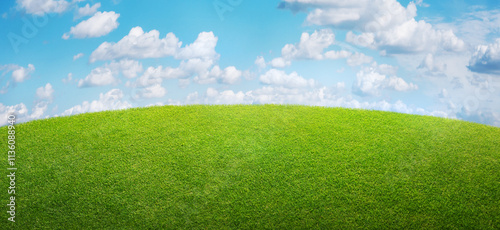 natural spring grass field background with cloudy sky photo