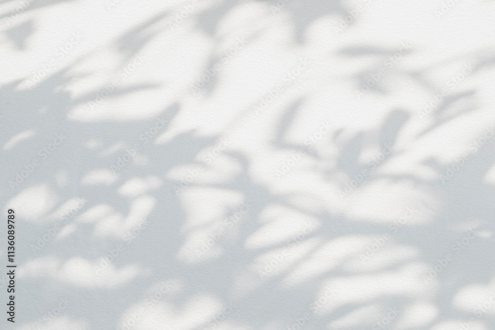 Obraz premium Leaf shadow and light on wall grey background. Nature tropical leaves plant tree branch shade sunshine . Sunlight on white wall texture for background wallpaper, shadows overlay effect foliage mockup