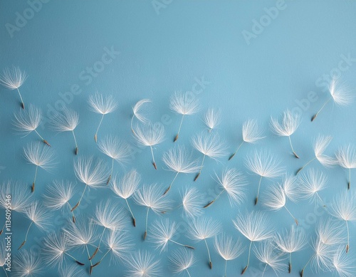 Generated image Dandelion fluff background for aesthetic minimalism style background. Light blue color photo