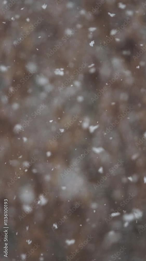 Captivating snowflakes falling gently in a winter wonderland. Vertical. Vertical video background. Captivating snowflakes falling gently in a winter wonderland. Vertical. Vertical video background.
