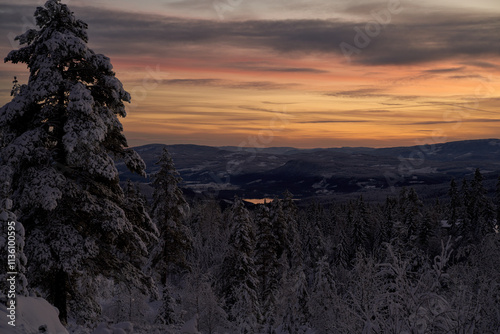 Beautiful winter sunset over Lake Krøderen in Norway, featuring snowy pine trees, vibrant colors, and serene reflections, capturing the tranquil beauty of a Nordic winter evening