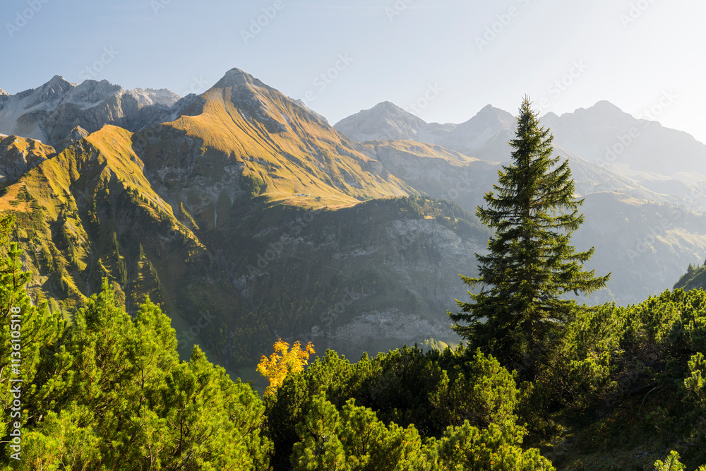 Linkserkopf, Allgäuer Hauptkamm, Bayern, Deutschland Linkserkopf, Allgäuer Hauptkamm, Bayern, Deutschland