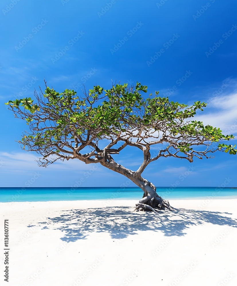 Solitary Tree on Pristine White Sand Beach Under Clear Blue Sky Coastal Serenity : Generative AI Solitary Tree on Pristine White Sand Beach Under Clear Blue Sky Coastal Serenity : Generative AI