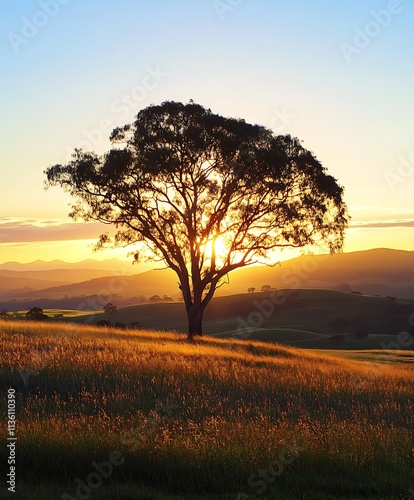 Solitary tree standing in a golden field at sunset capturing the beauty of nature and serenity : Generative AI