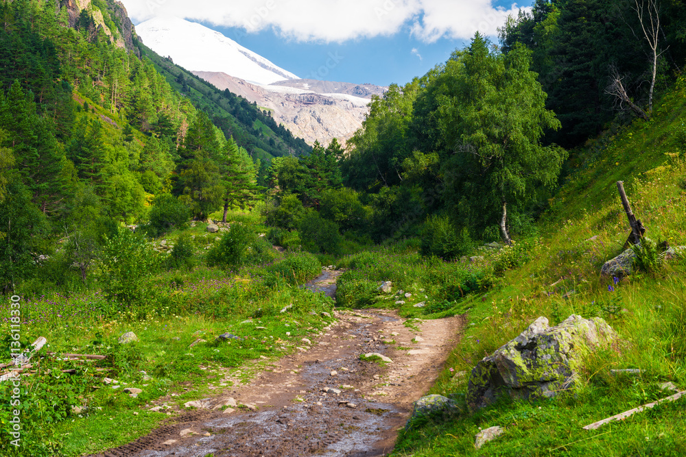 Φωτογραφία Beautiful mountain landscape with a hiking trail and a view of the snow-capped peak of Elbrus volcano
