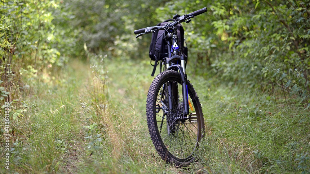 Naklejka premium bike. transport. summer or autumn time. mountain bike. A mountain bike stands on a trail in a summer forest. cycling outdoor. concepts of sports, cycling, outdoor activities. spring park. front view