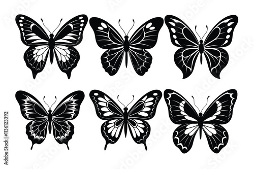 Collection of butterfly silhouette photo