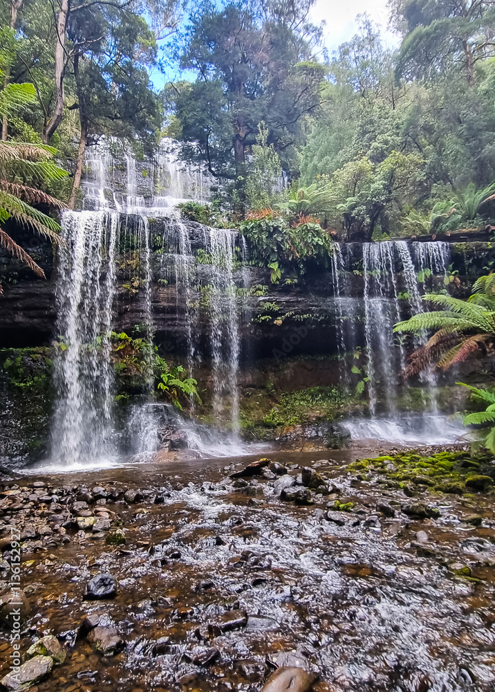 Russell Falls in Tasmania, a stunning waterfall surrounded by lush green ferns and mossy rocks in a tranquil rainforest Russell Falls in Tasmania, a stunning waterfall surrounded by lush green ferns and mossy rocks in a tranquil rainforest