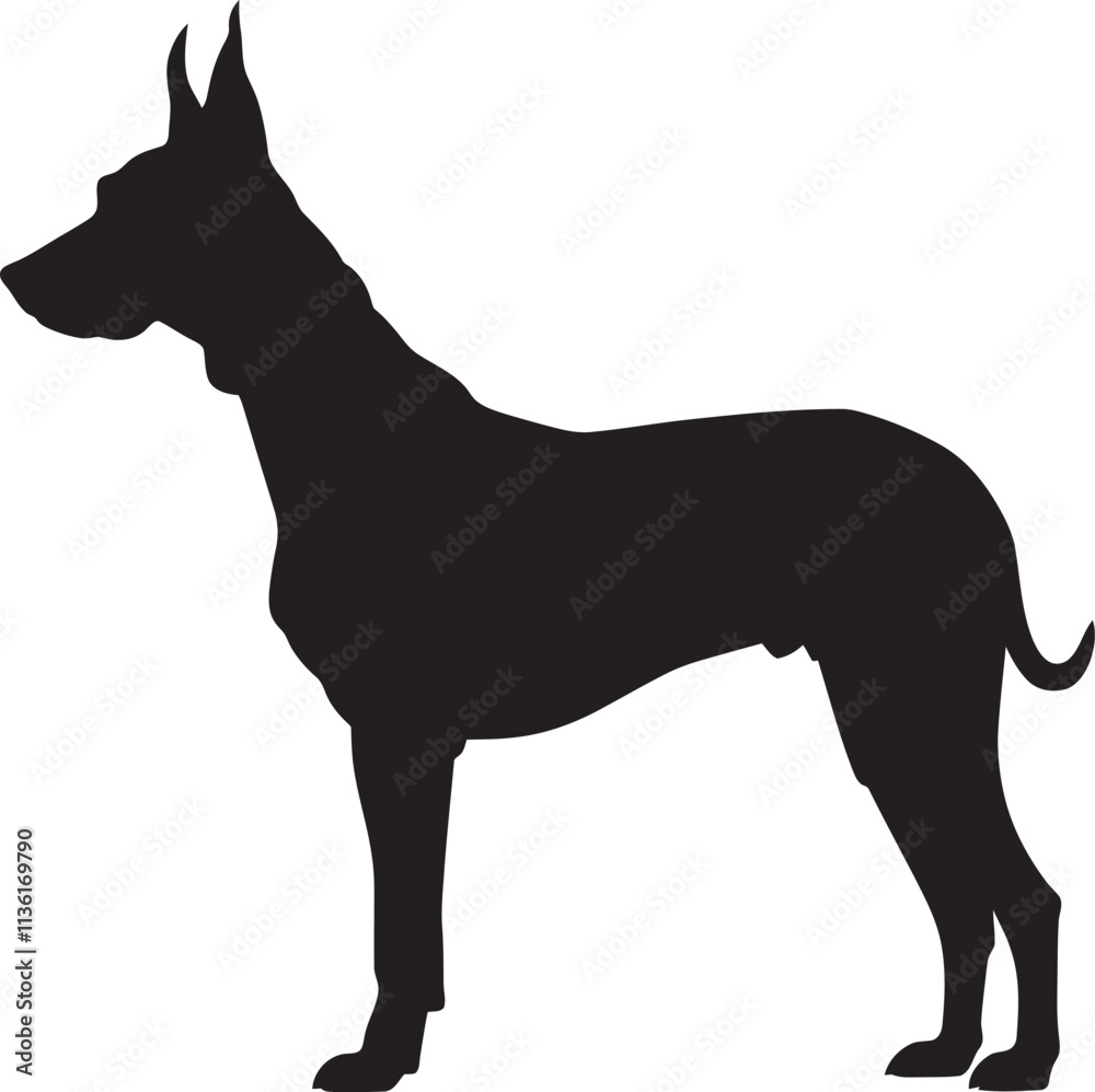 Obraz premium Dobermann Silhouette Vector Illustration White Background