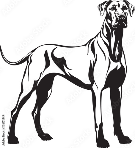 Great Dane Silhouette Vector Illustration White Background