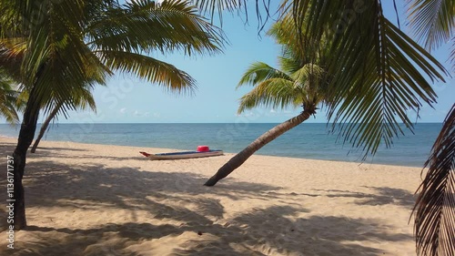 A small fishing boat on the sand of a deserted beach under a palm tree on a sunny day