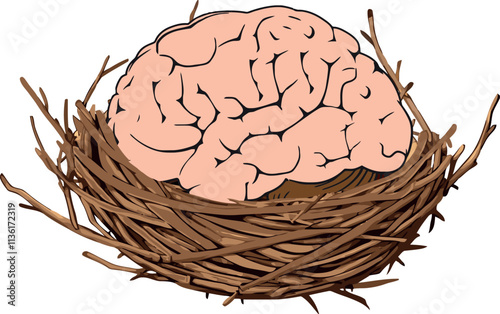 Brain resting in bird nest symbolizing nurturing and growth