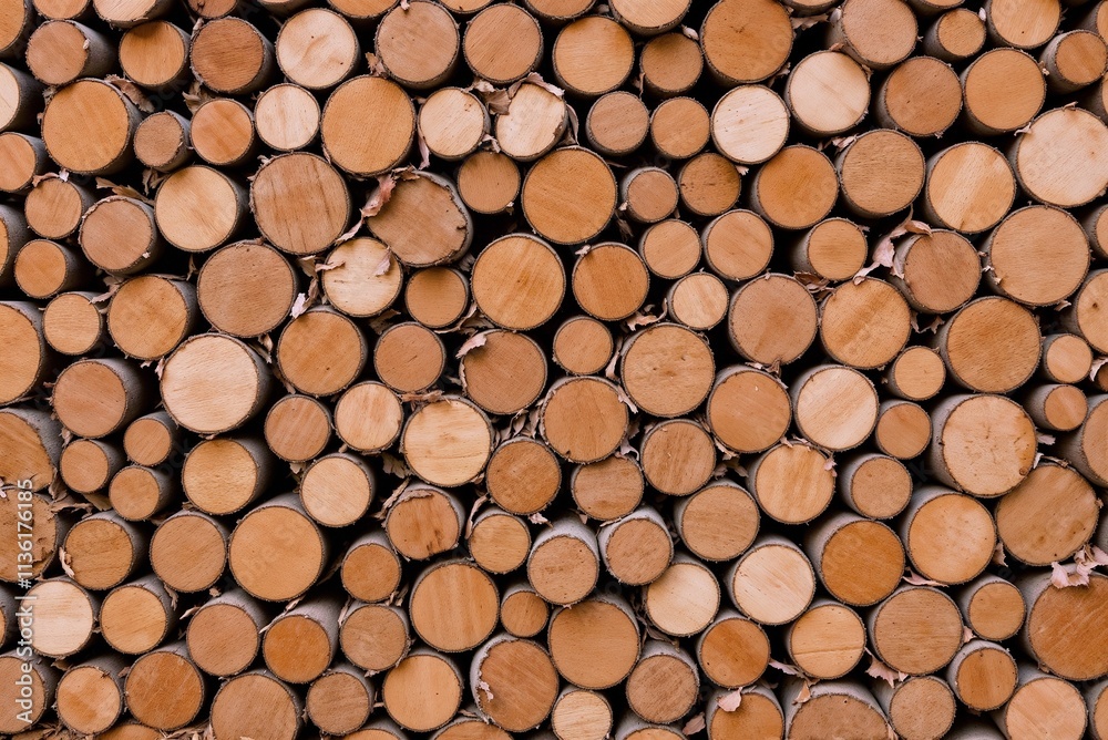Stacked wooden logs in a neatly arranged pile ready for use in construction or heating Stacked wooden logs in a neatly arranged pile ready for use in construction or heating