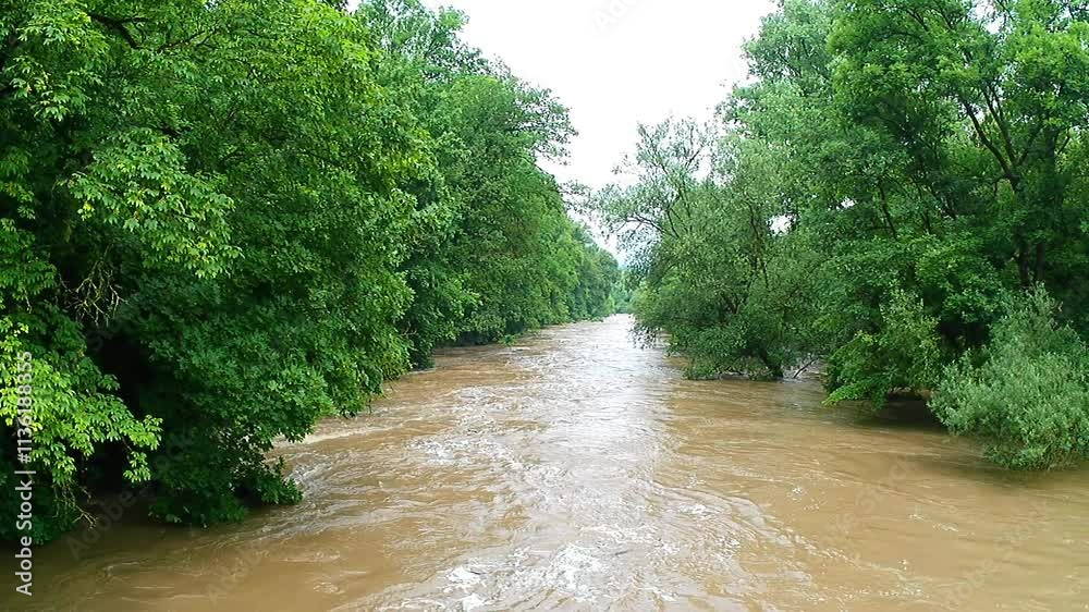 Trees standing in the current of a flood of dirty brown water Trees standing in the current of a flood of dirty brown water