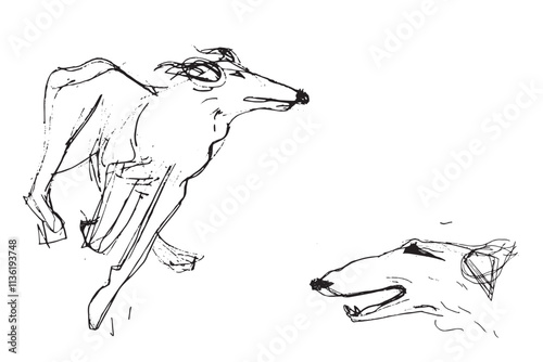 Russian Hunting Sighthound hand-drawing sketch. Minimalist ink drawing of dog Borzoi. Gazehounds line art. Hound dog illustration. Black graphics for Dog breeding business.