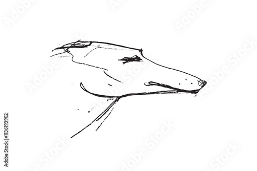 Russian Hunting Sighthound hand-drawing sketch. Minimalist ink drawing of dog Borzoi. Gazehounds line art. Hound dog illustration. Black graphics for Dog breeding business.