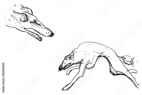 Russian Hunting Sighthound hand-drawing sketch. Minimalist ink drawing of dog Borzoi. Gazehounds line art. Hound dog illustration. Black graphics for Dog breeding business.